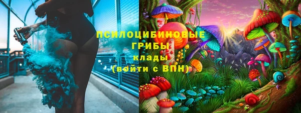 крисы Кинешма